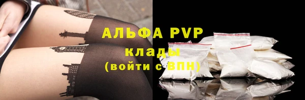 стаф Абинск