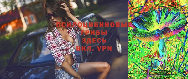 стаф Абинск
