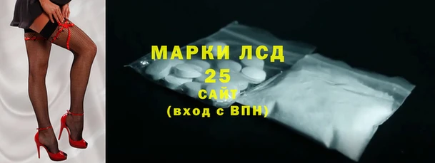 стаф Абинск