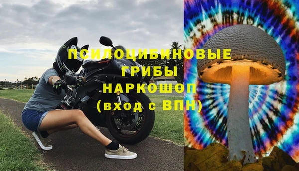 каннабис Абаза